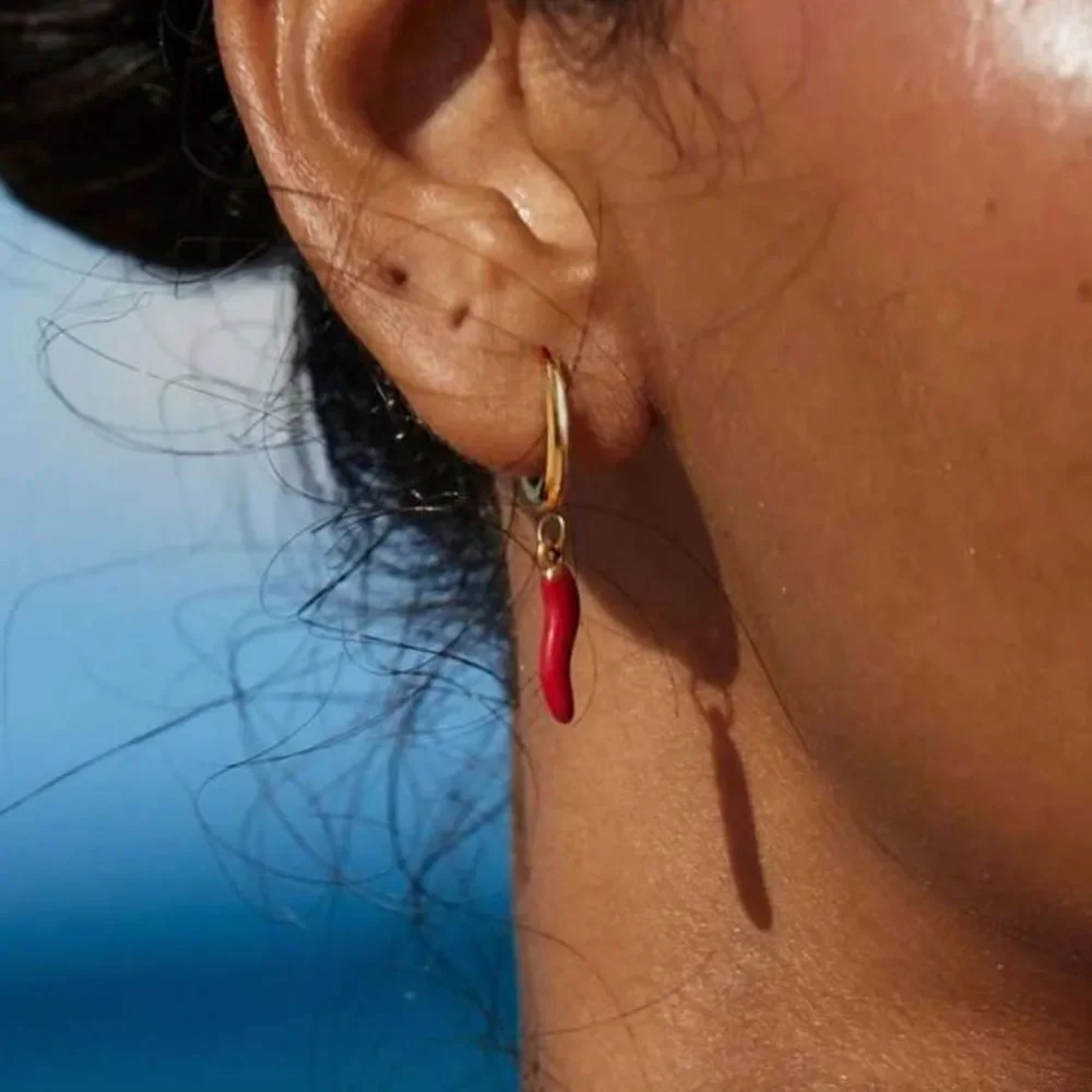 Pepper hoop Earrings N1715